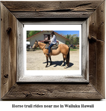 horse trail rides near me in Wailuku, Hawaii